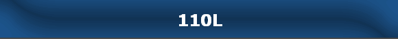 110L